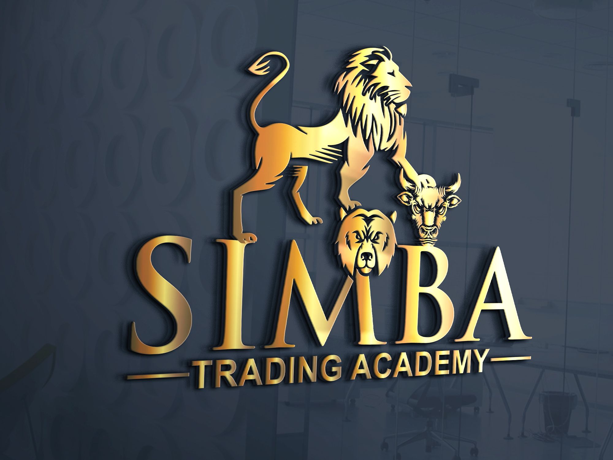כפיר אסייג - Simba Trading